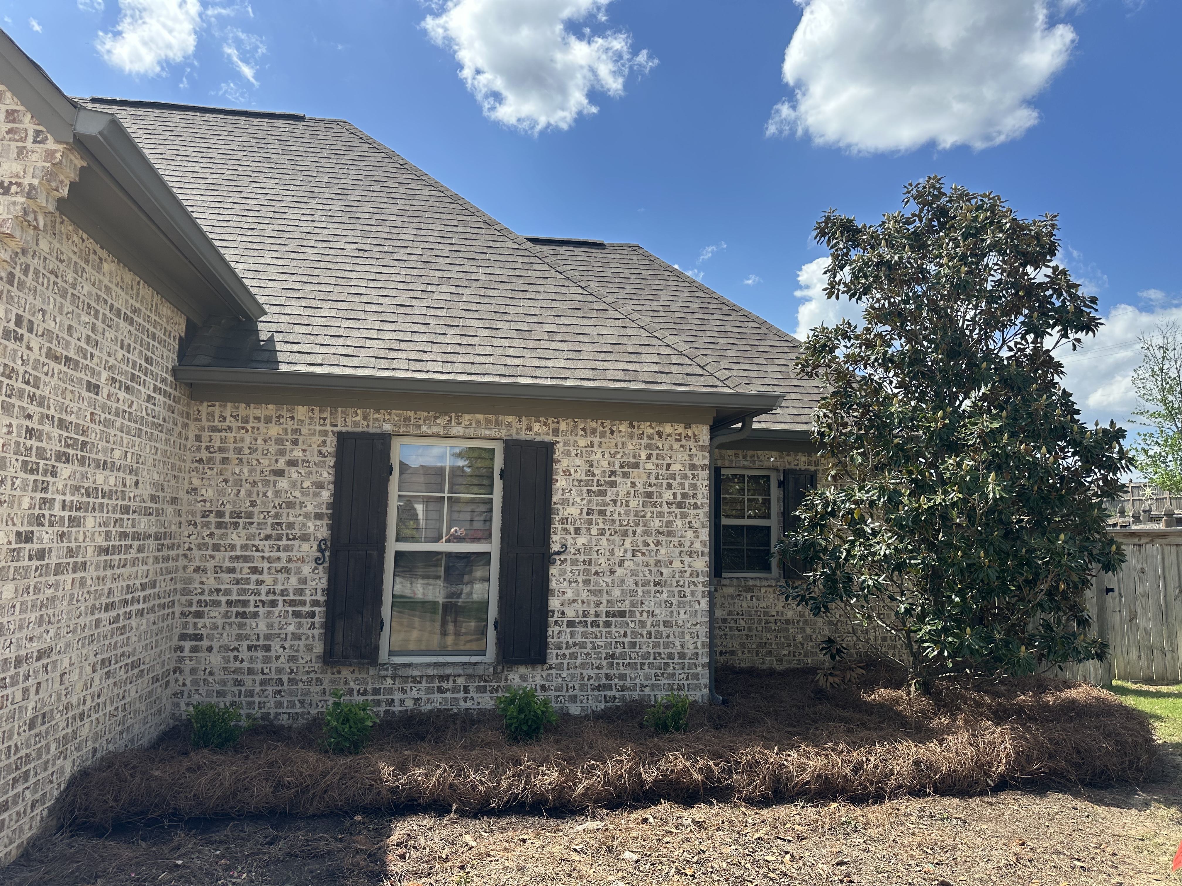 Fresh landscape install — pine straw and plantings